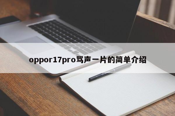 oppor17pro骂声一片的简单介绍