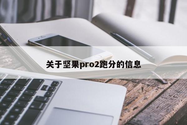 关于坚果pro2跑分的信息