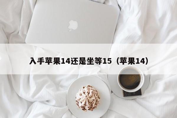 入手苹果14还是坐等15（苹果14）