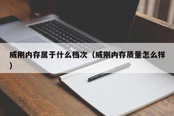 威刚内存属于什么档次（威刚内存质量怎么样）