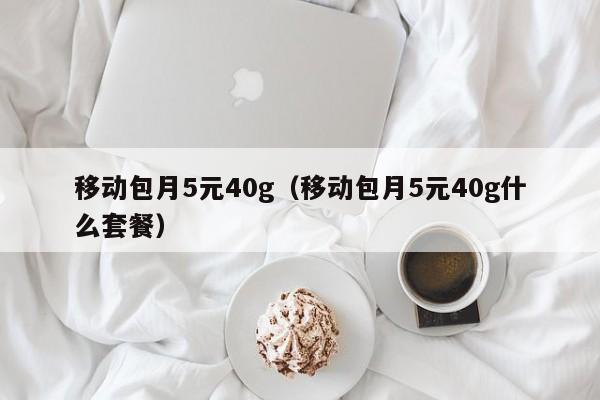 移动包月5元40g（移动包月5元40g什么套餐）