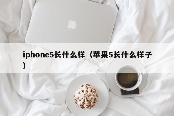 iphone5长什么样（苹果5长什么样子）