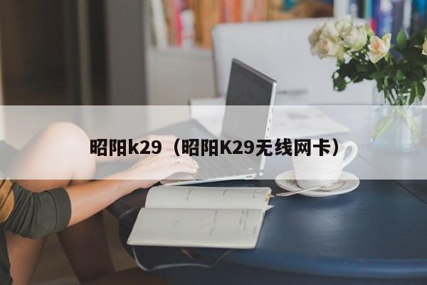 昭阳k29（昭阳K29无线网卡）