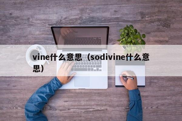 vine什么意思（sodivine什么意思）