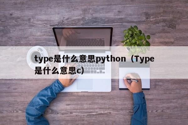 type是什么意思python（Type是什么意思c）