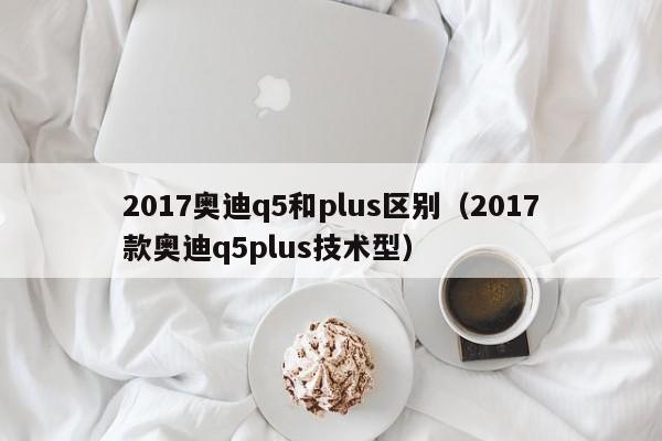 2017奥迪q5和plus区别（2017款奥迪q5plus技术型）