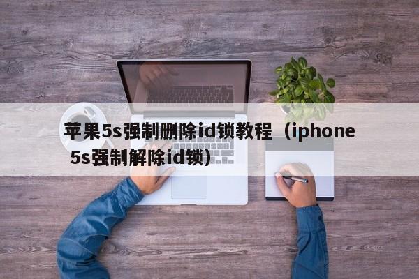 苹果5s强制删除id锁教程（iphone 5s强制解除id锁）