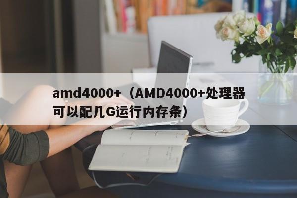 amd4000+（AMD4000+处理器可以配几G运行内存条）