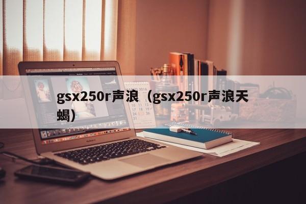 gsx250r声浪（gsx250r声浪天蝎）