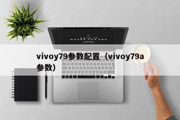 vivoy79参数配置（vivoy79a参数）