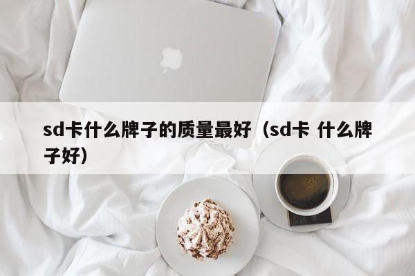 sd卡什么牌子的质量最好（sd卡 什么牌子好）