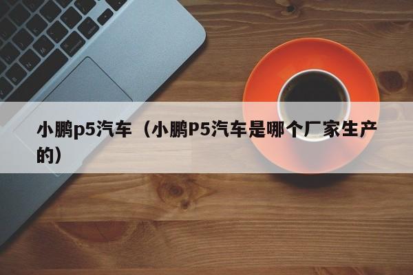 小鹏p5汽车（小鹏P5汽车是哪个厂家生产的）