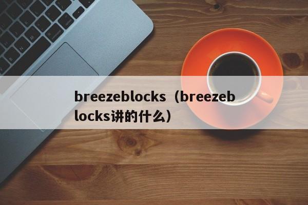 breezeblocks（breezeblocks讲的什么）