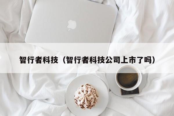 智行者科技（智行者科技公司上市了吗）