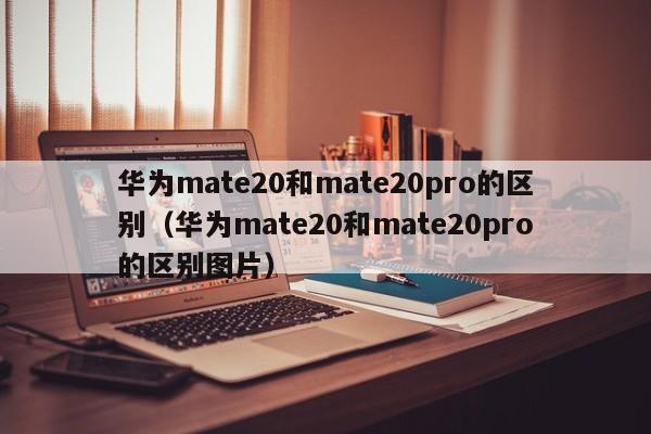 华为mate20和mate20pro的区别（华为mate20和mate20pro的区别图片）