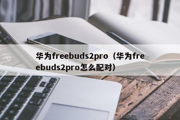 华为freebuds2pro（华为freebuds2pro怎么配对）