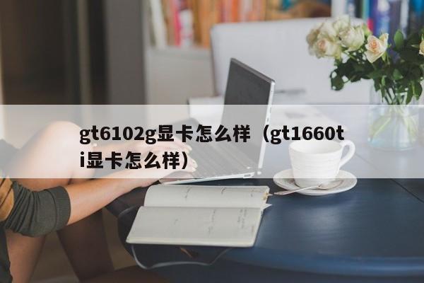 gt6102g显卡怎么样（gt1660ti显卡怎么样）