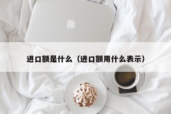 进口额是什么（进口额用什么表示）