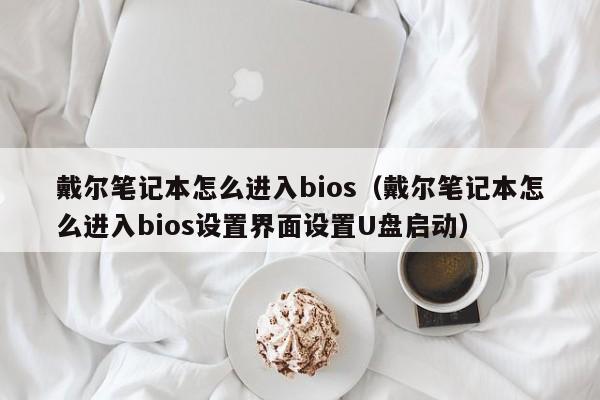 戴尔笔记本怎么进入bios（戴尔笔记本怎么进入bios设置界面设置U盘启动）