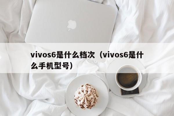 vivos6是什么档次（vivos6是什么手机型号）