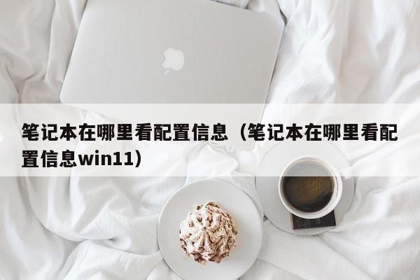 笔记本在哪里看配置信息（笔记本在哪里看配置信息win11）