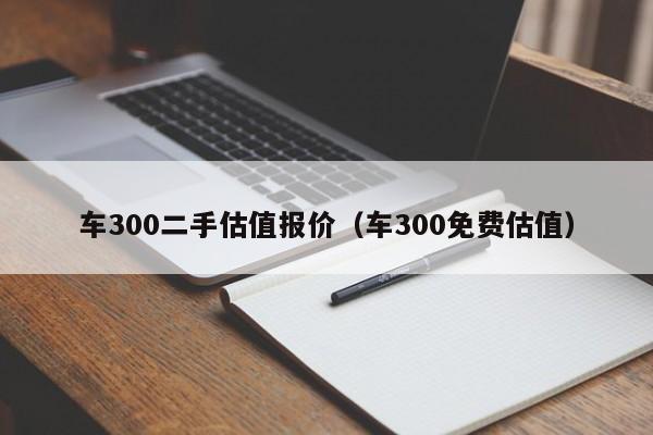 车300二手估值报价（车300免费估值）