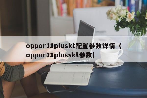 oppor11pluskt配置参数详情（oppor11plusskt参数）