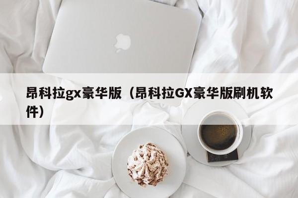 昂科拉gx豪华版（昂科拉GX豪华版刷机软件）