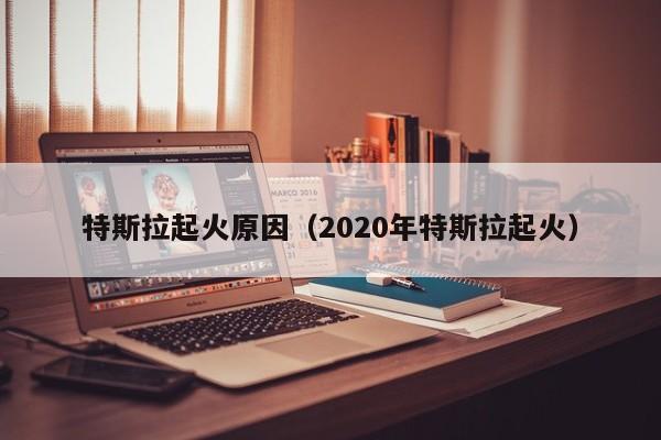 特斯拉起火原因（2020年特斯拉起火）