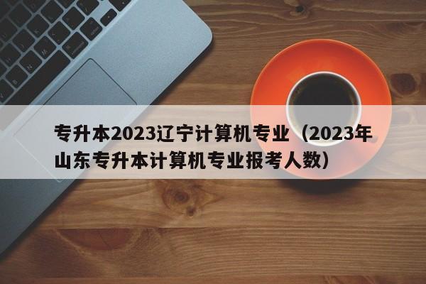 专升本2023辽宁计算机专业（2023年山东专升本计算机专业报考人数）