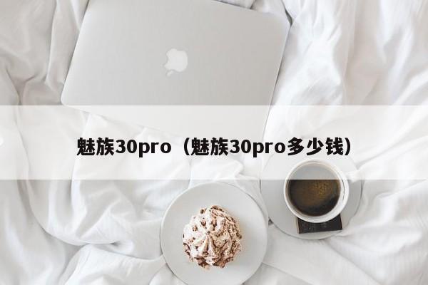 魅族30pro（魅族30pro多少钱）