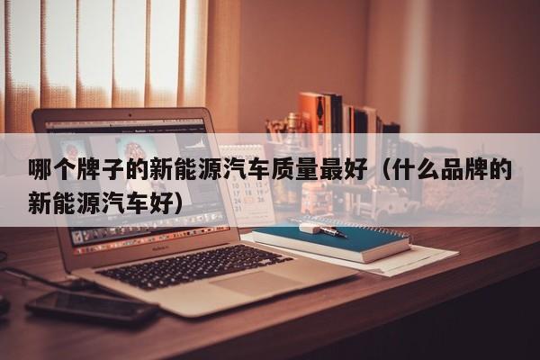 哪个牌子的新能源汽车质量最好（什么品牌的新能源汽车好）