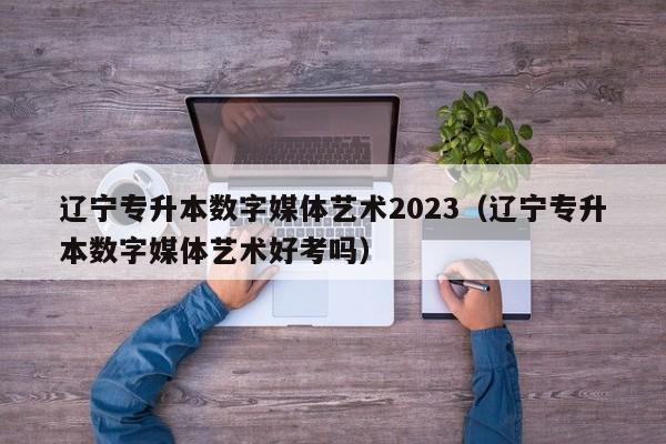 辽宁专升本数字媒体艺术2023（辽宁专升本数字媒体艺术好考吗）