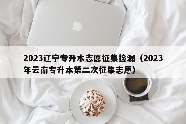 2023辽宁专升本志愿征集捡漏（2023年云南专升本第二次征集志愿）