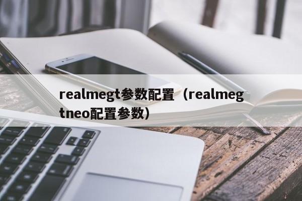 realmegt参数配置（realmegtneo配置参数）