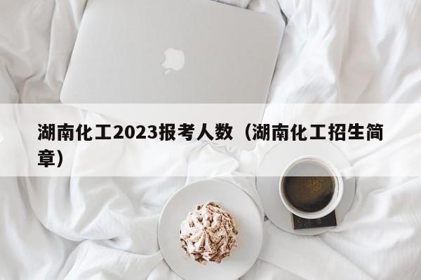 湖南化工2023报考人数（湖南化工招生简章）