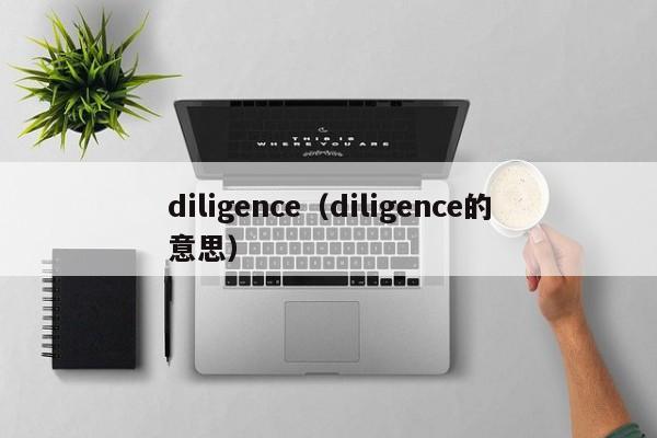 diligence（diligence的意思）