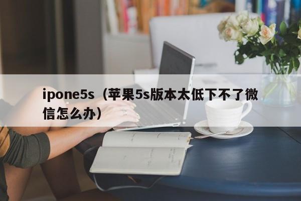 ipone5s（苹果5s版本太低下不了微信怎么办）