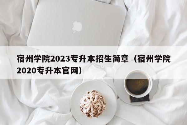 宿州学院2023专升本招生简章（宿州学院2020专升本官网）