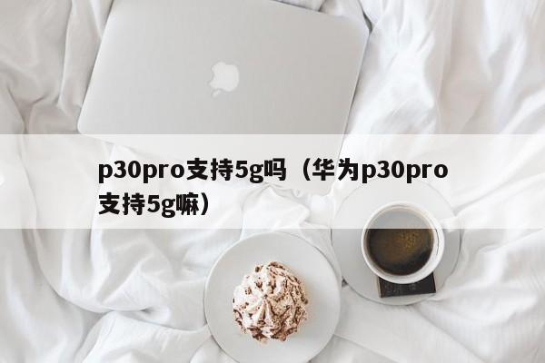 p30pro支持5g吗（华为p30pro支持5g嘛）