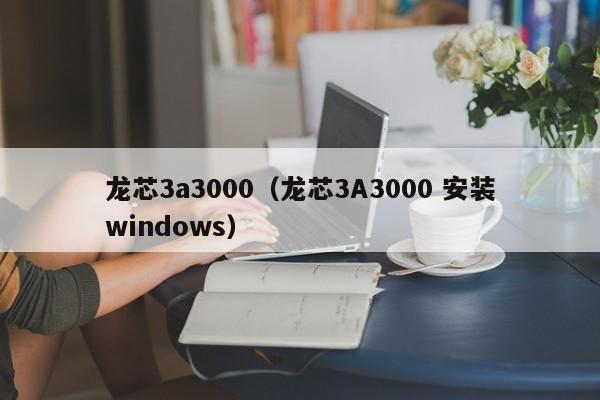 龙芯3a3000（龙芯3A3000 安装windows）