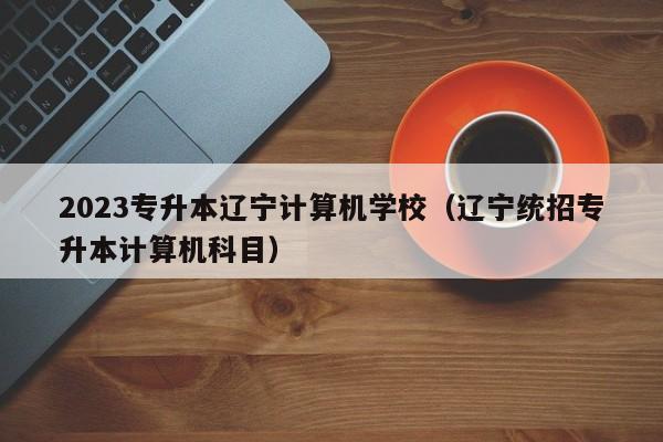 2023专升本辽宁计算机学校（辽宁统招专升本计算机科目）