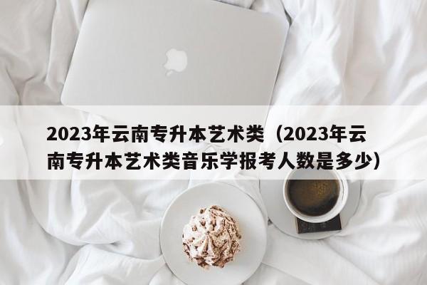 2023年云南专升本艺术类（2023年云南专升本艺术类音乐学报考人数是多少）