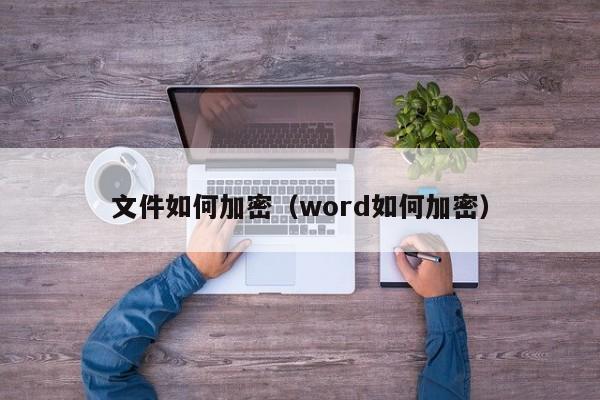 文件如何加密（word如何加密）