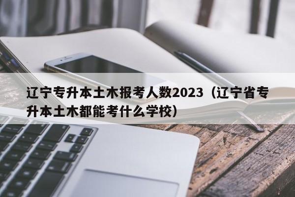 辽宁专升本土木报考人数2023（辽宁省专升本土木都能考什么学校）