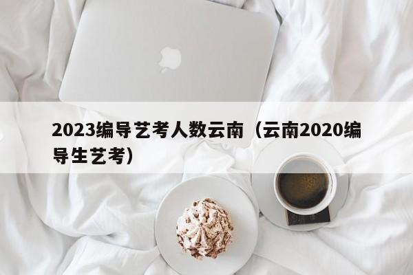 2023编导艺考人数云南（云南2020编导生艺考）