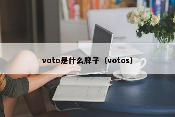 voto是什么牌子（votos）