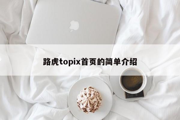 路虎topix首页的简单介绍