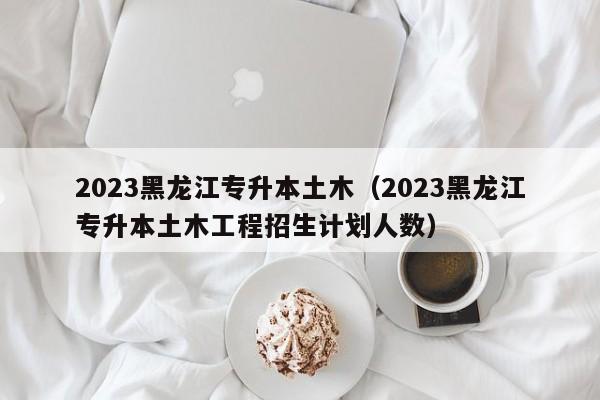 2023黑龙江专升本土木（2023黑龙江专升本土木工程招生计划人数）