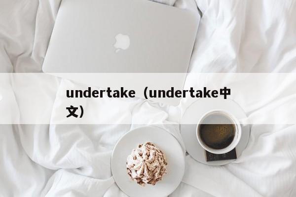 undertake（undertake中文）